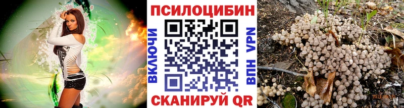 Псилоцибиновые грибы Psilocybe Майский